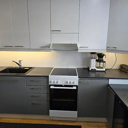 Kajaanin Ydinkeskustassa 4 Huonetta, Keittioe Ja Sauna Apartament *